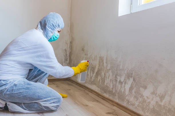 Licensed Bathroom Mold Removal service in New Hope, PA - WQB Mold Removal