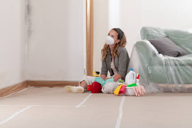 Reliable Bathroom Mold Removal contractor in New Hope, PA by WQB Mold Removal